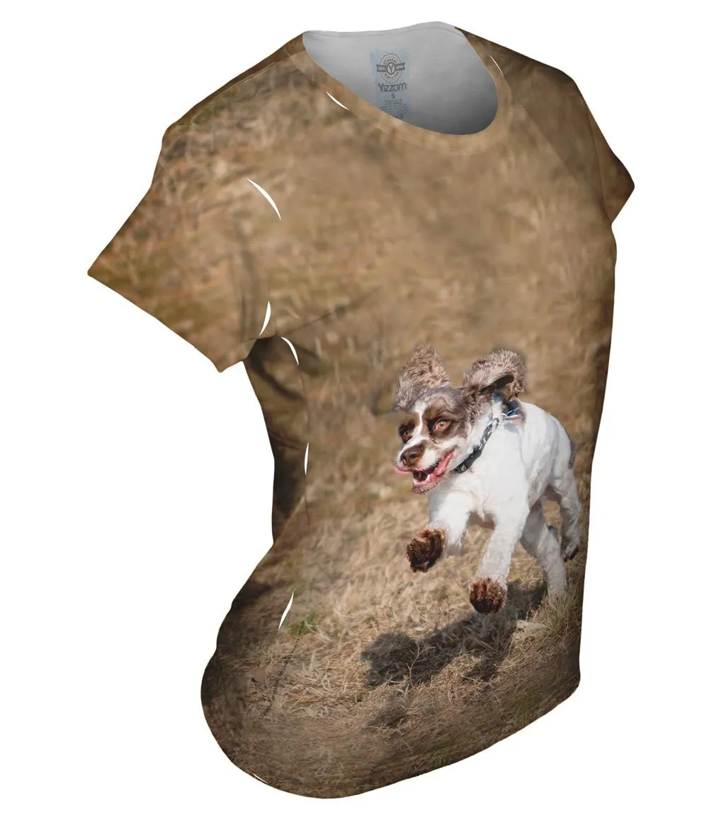 Cocker Spaniel Race