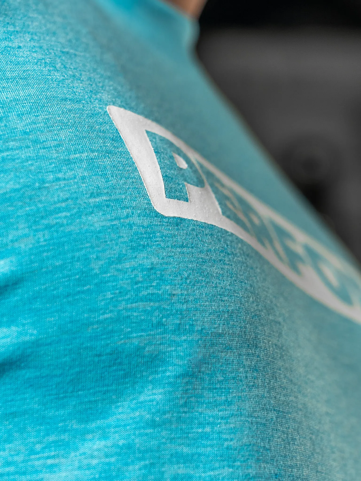 MEN'S PERFORM TEE - BLUE