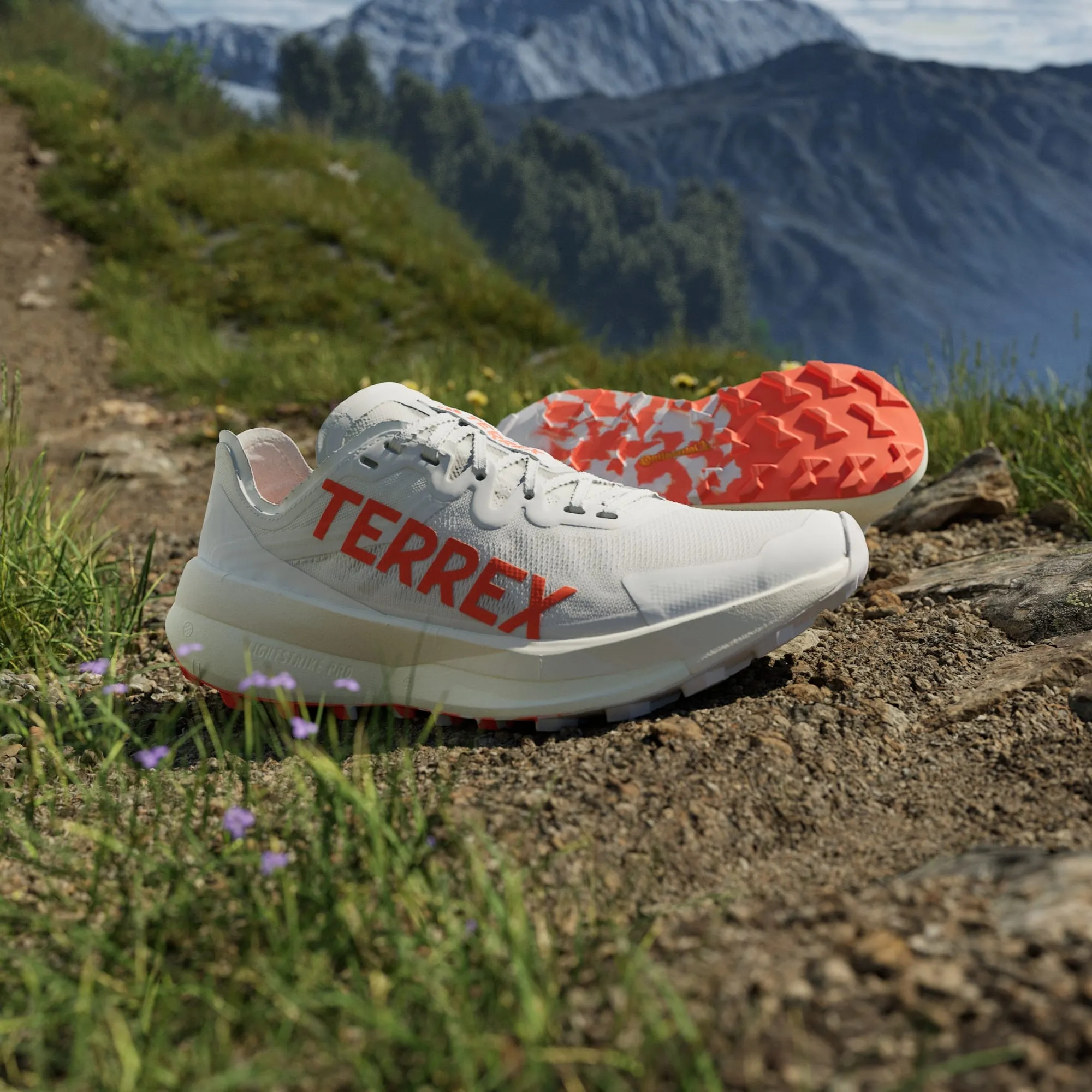 Terrex Agravic Speed Trail Running Shoe Women's